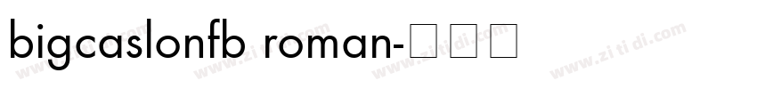 bigcaslonfb roman字体转换
